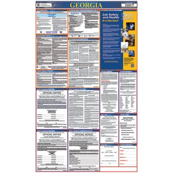 Georgia All in One Labor Law Poster
