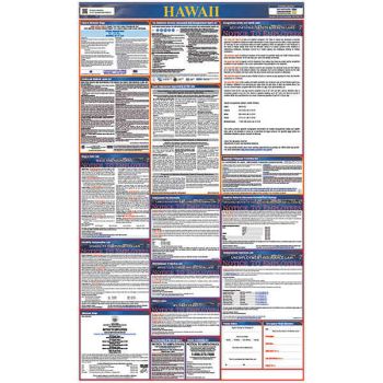 Hawaii All in One Labor Law Poster