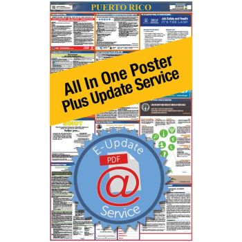 Puerto Rico All In One Poster + 2 Year E-Update Service