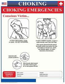 Arizona Choking Poster
